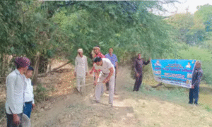 Village Clean-Up