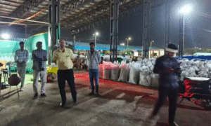 COLLECTOR SAKET MALVIYA 