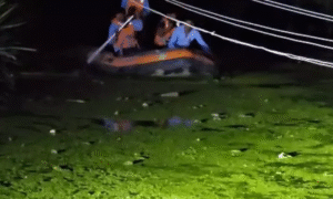 morena park accident