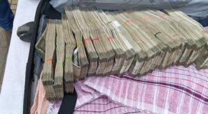 cash in suitcase