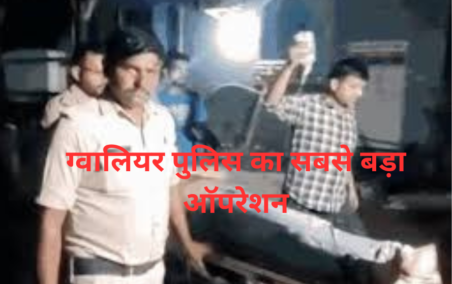 mp news
