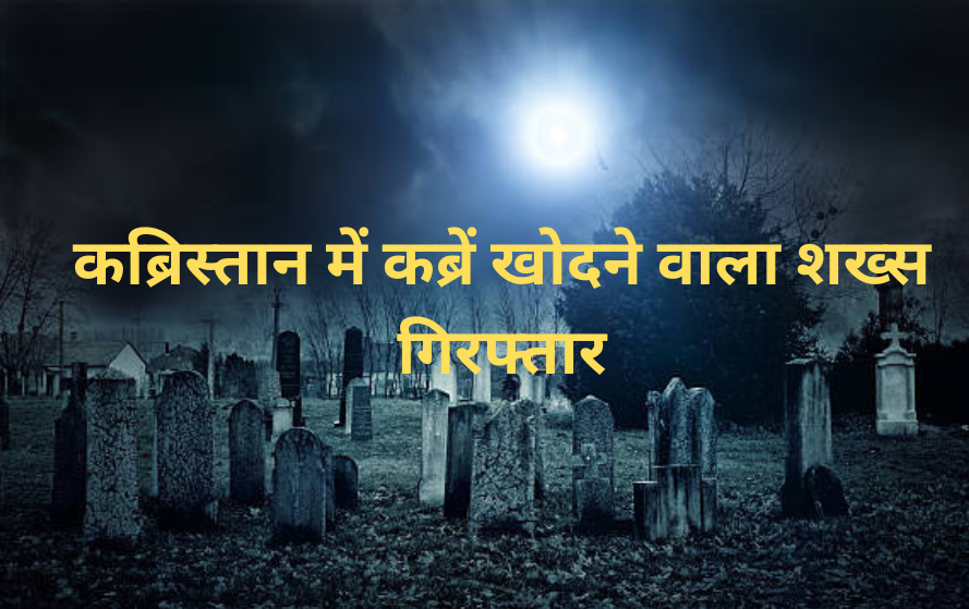 mp news