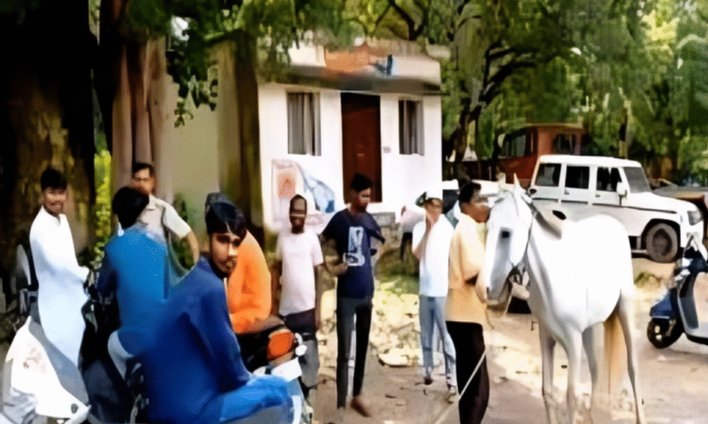 ग्वालियर पुलिस के सामने घोड़े को लेकर छिड़ा विवाद
