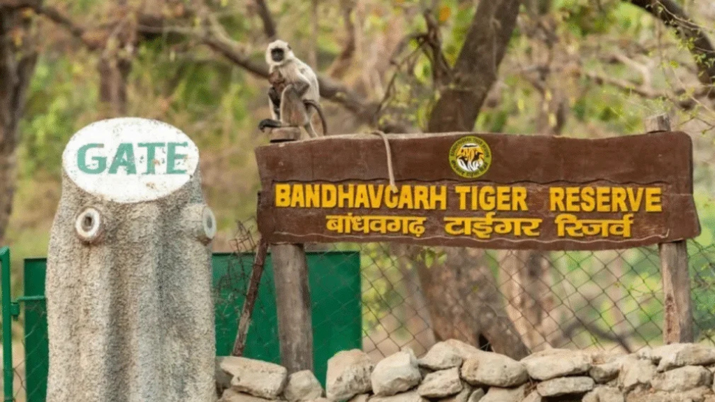 Bandhavgarh Tiger Reserve: