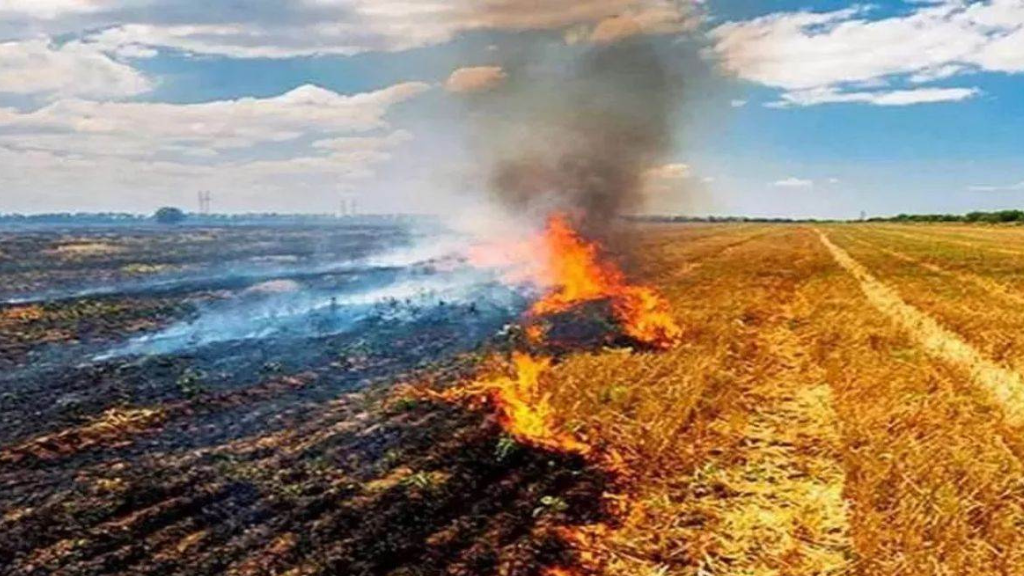 Parali Burning Datia