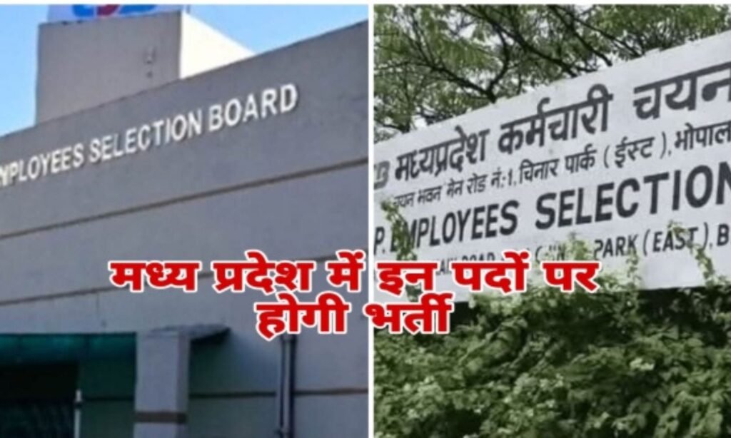 GOVERNMENT JOB VACANCY :