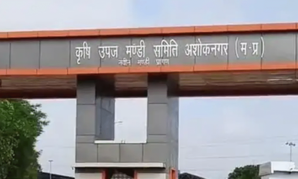 Ashoknagar Mandi Plot Scam