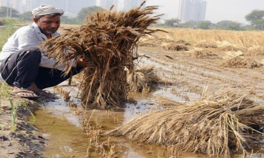 BHIND FRAMER COMPENSATION