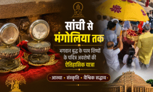 MP NEWS